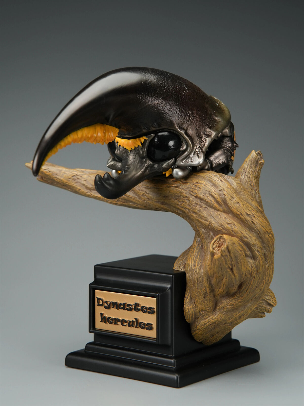 Dynastes Hercules Plus Model