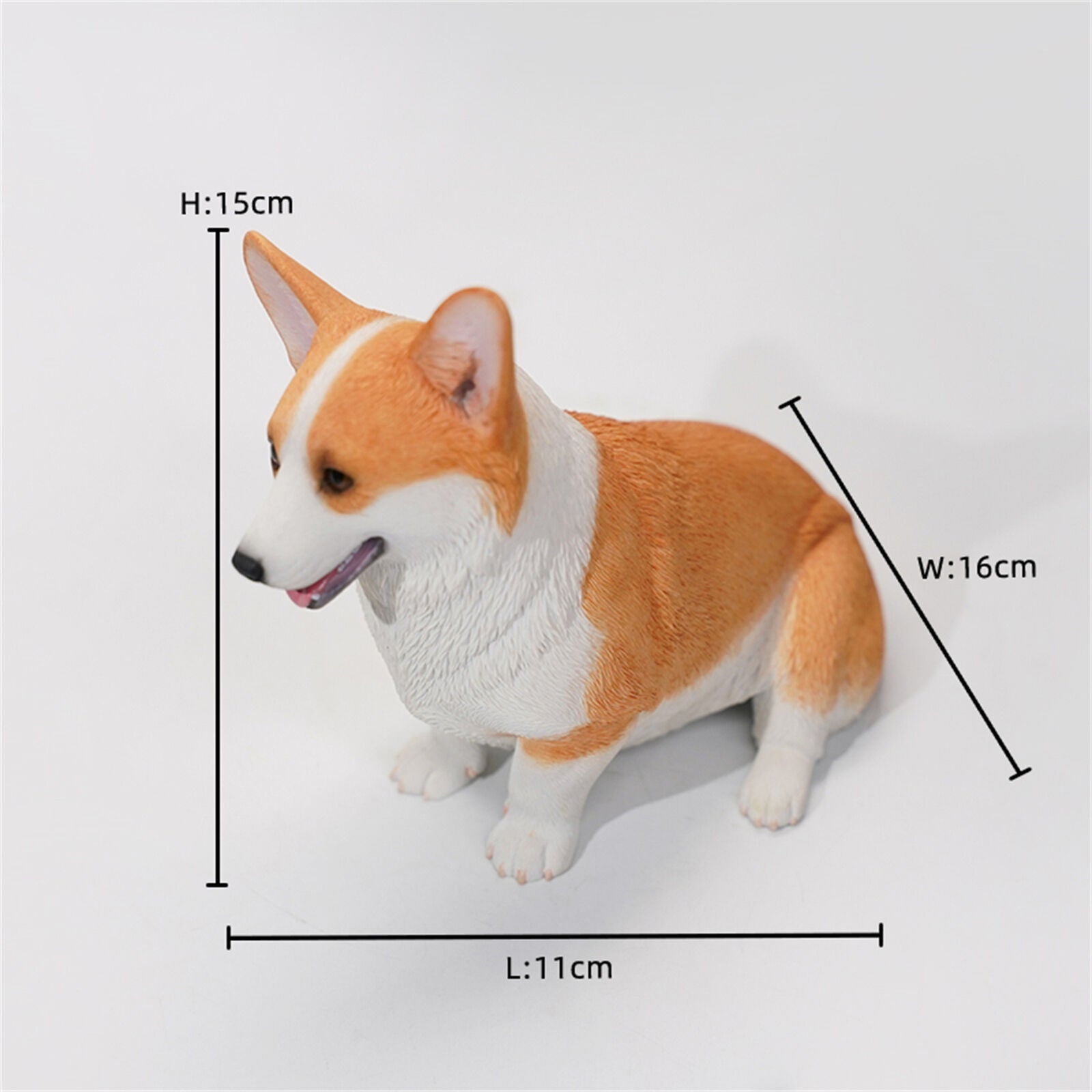 JXK 1/3 Welsh Corgi Pembroke Model