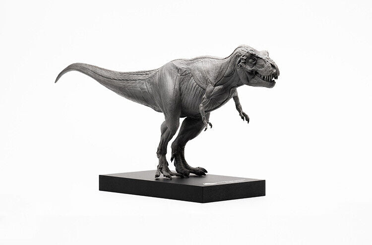 EVOLABORATORY 1/32 Muscle Anatomy T-Rex Model