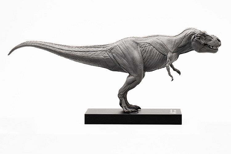 EVOLABORATORY 1/32 Muscle Anatomy T-Rex Model