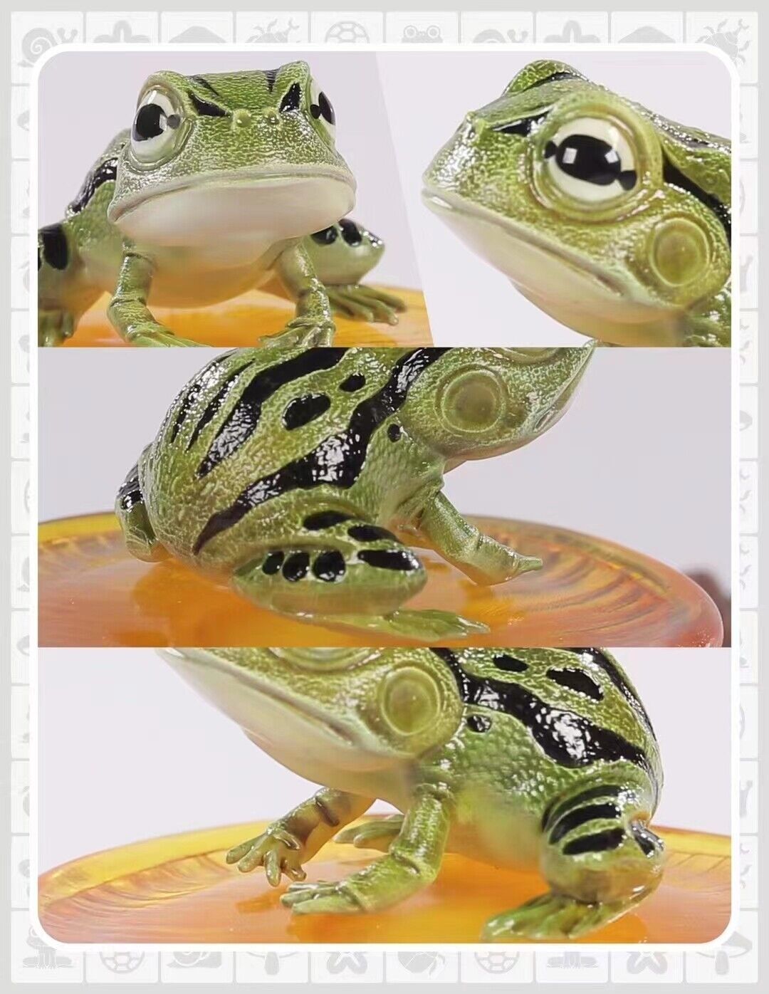 Yellow-margined Box Turtle Model