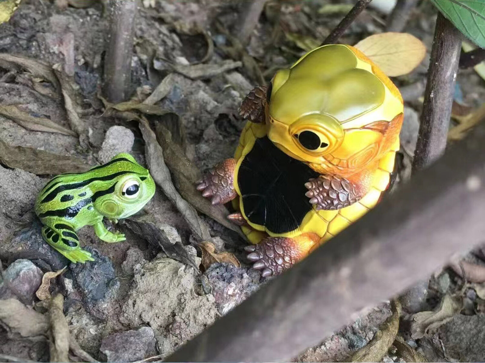 Yellow-margined Box Turtle Model