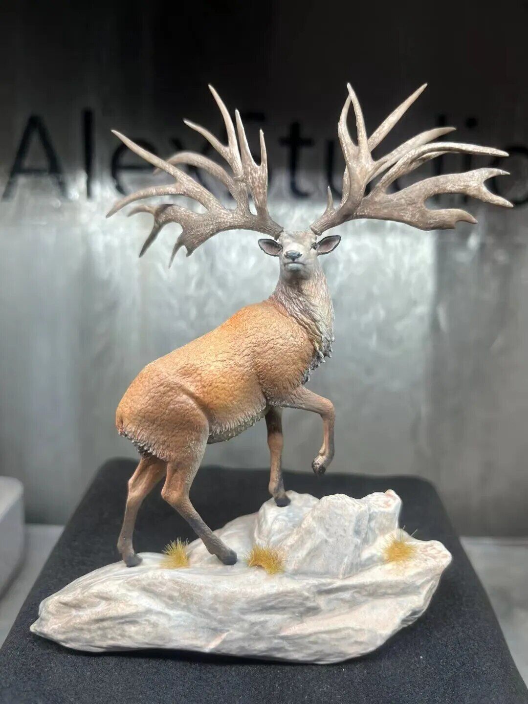 Alex Studio Eucladoceros Model