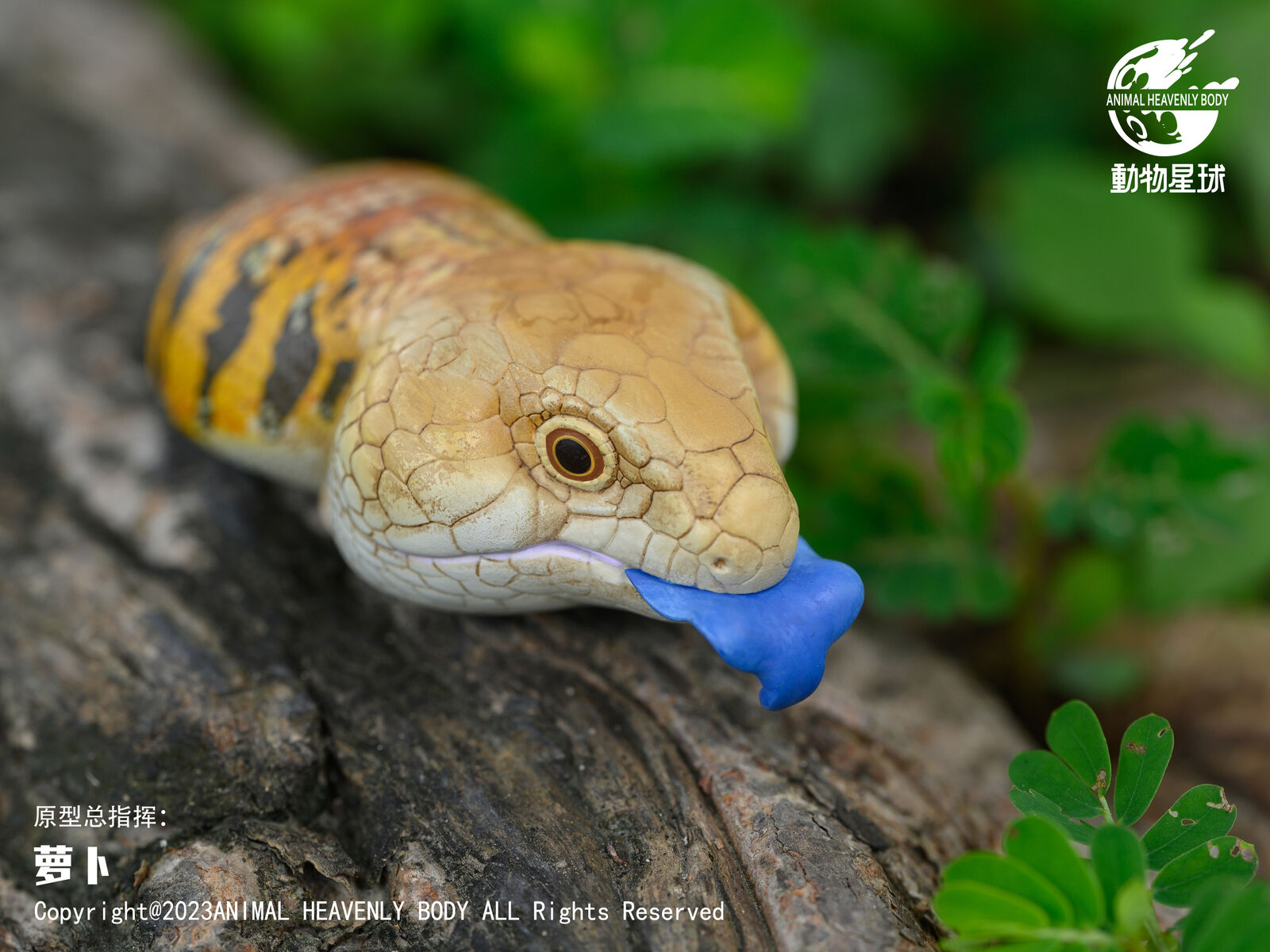 Animal Planet 16 Lizard Blind Box Model