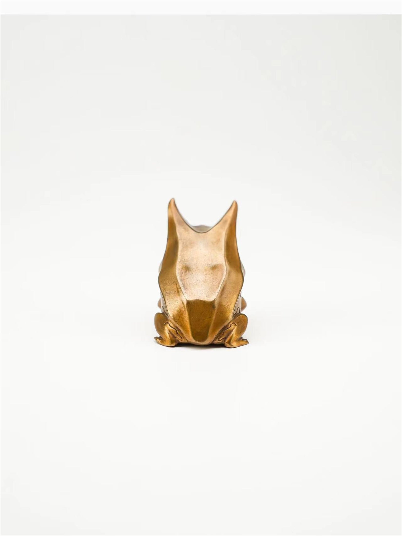 Schildkröten-Serie Tiermodell