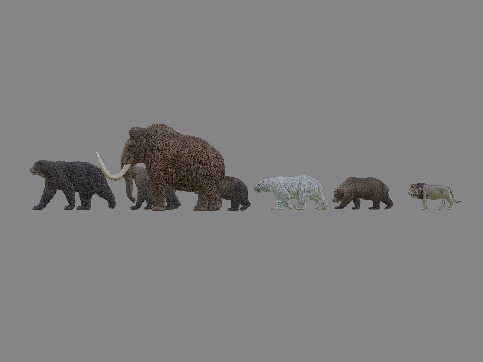 Free Exploration Cave Lion Model