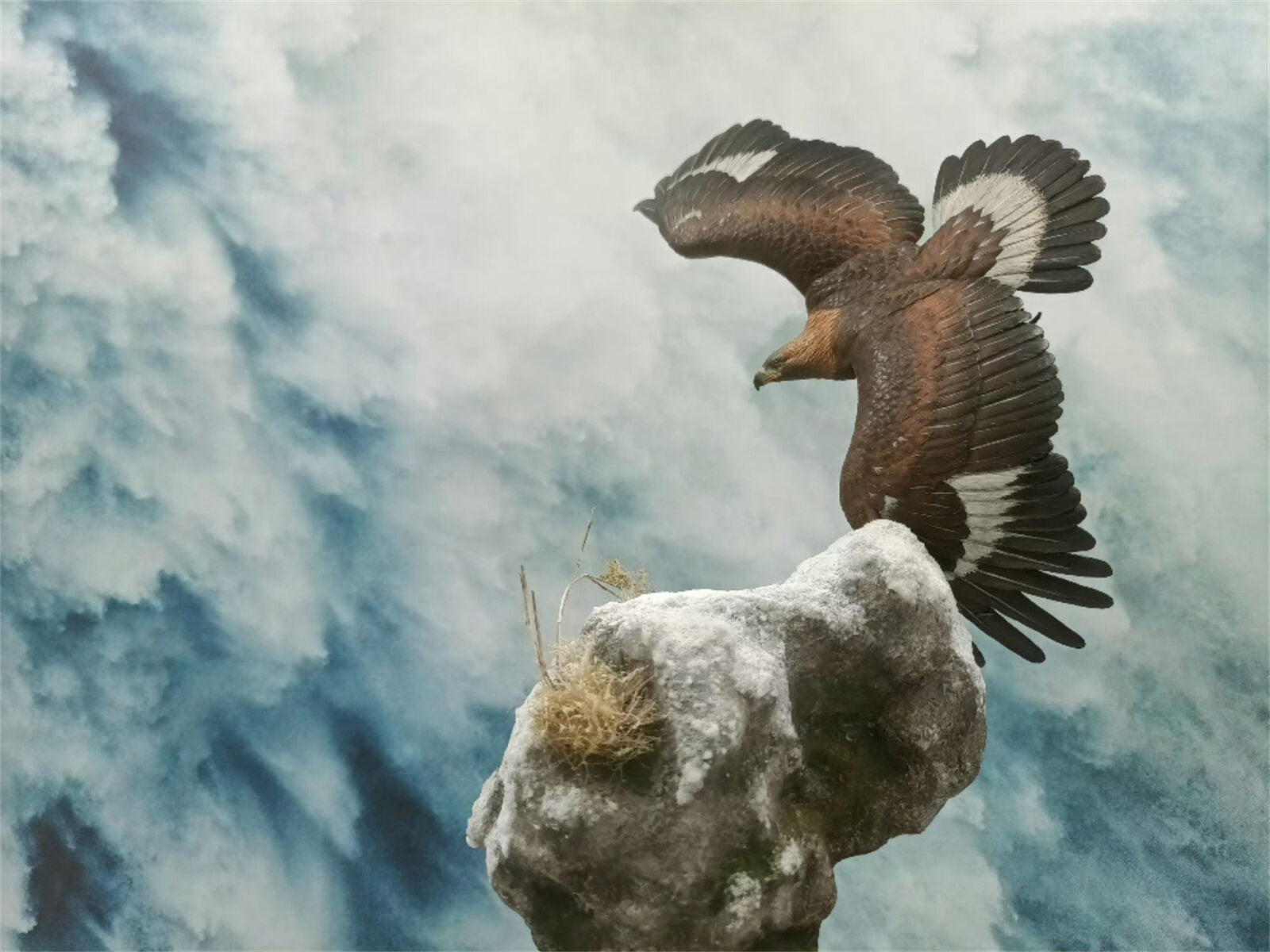 1/10 Golden Eagle VS Chamois Scene Model