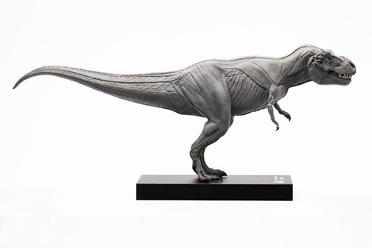 EVOLABORATORY 1/32 Muscle Anatomy T-Rex Model