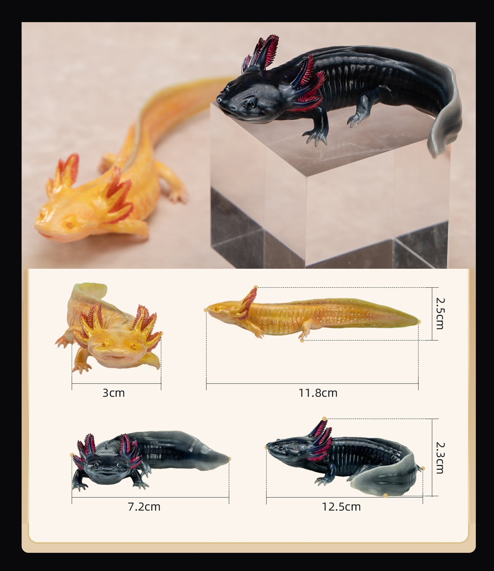 1:2 Scale Ambystoma Mexicanum Model Axolotl Figure