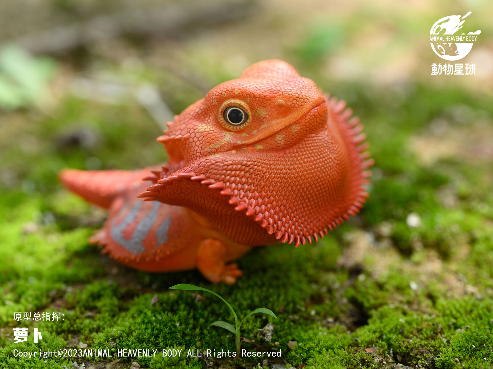 Animal Planet 16 Lizard Blind Box Model