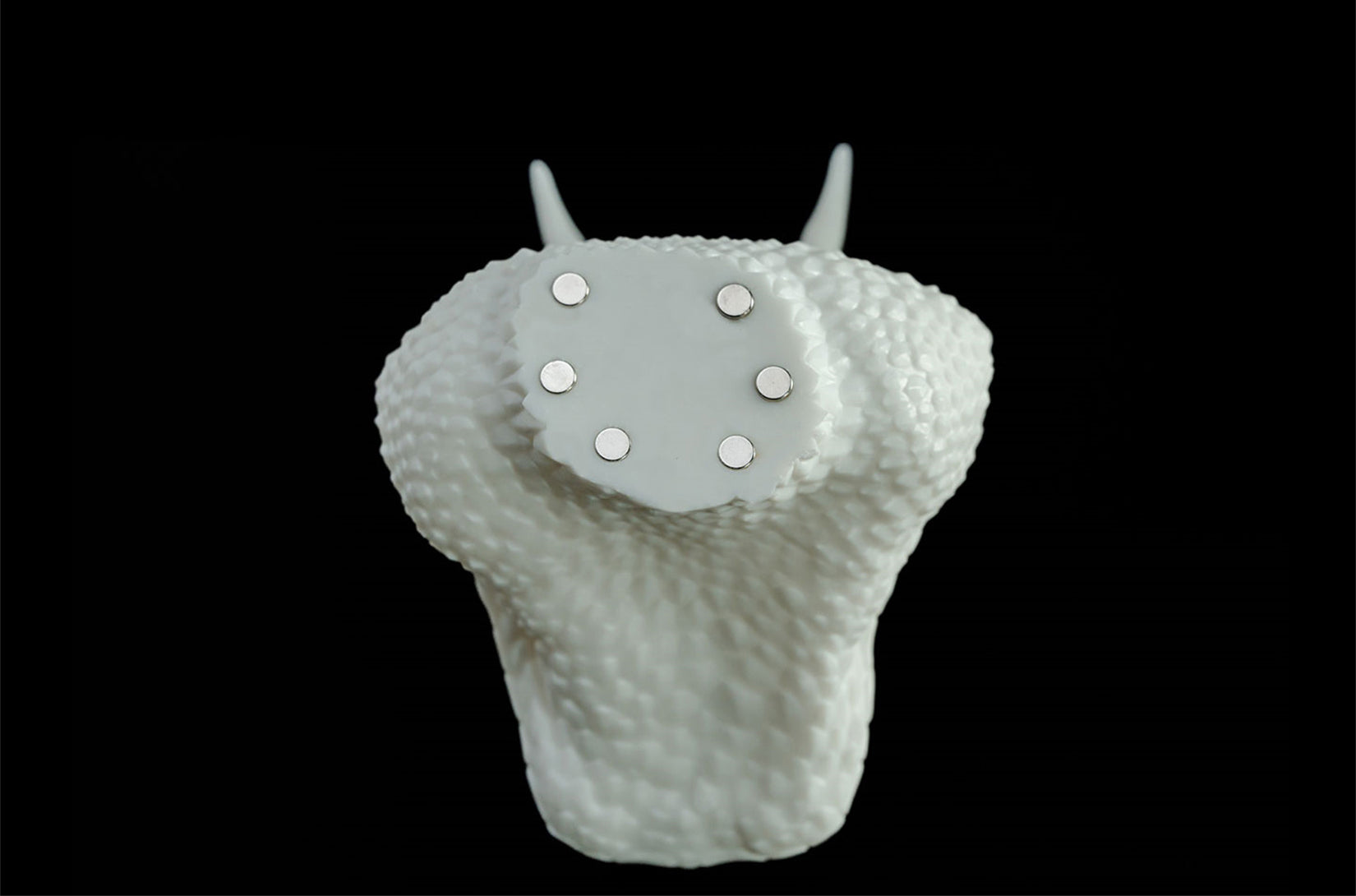 Cerastes Cornutus Snake Model