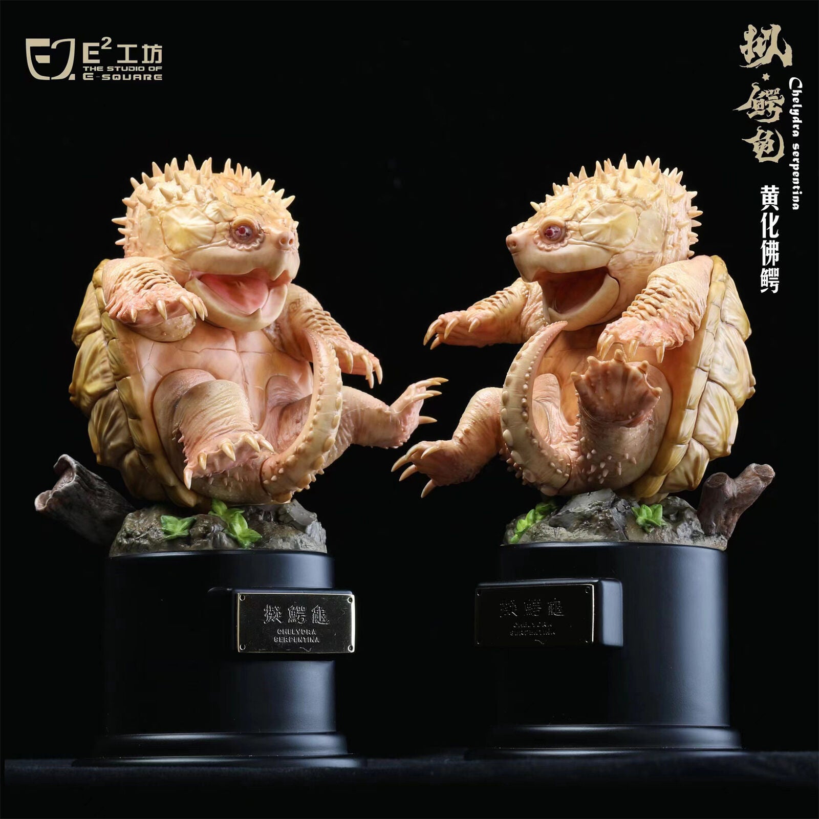 Snapping Turtle Model
