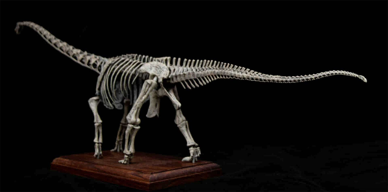 VWUVWU 1/20 Mamenchisaurus Youngi Skeleton Model