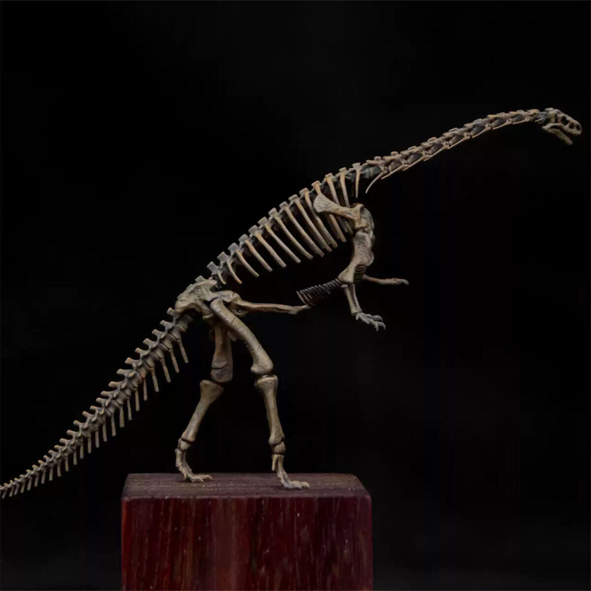 1/35 Lufengosaurus Skeleton Model