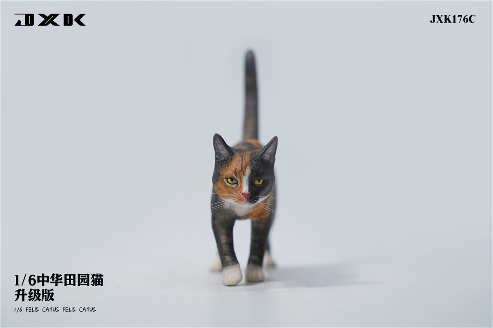 JXK 1/6 Felis catus Model