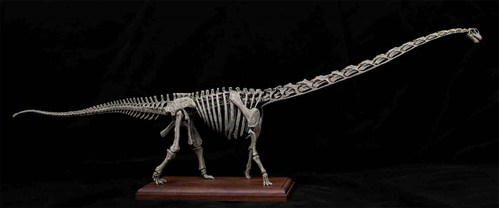 VWUVWU 1/20 Mamenchisaurus Youngi Skeleton Model