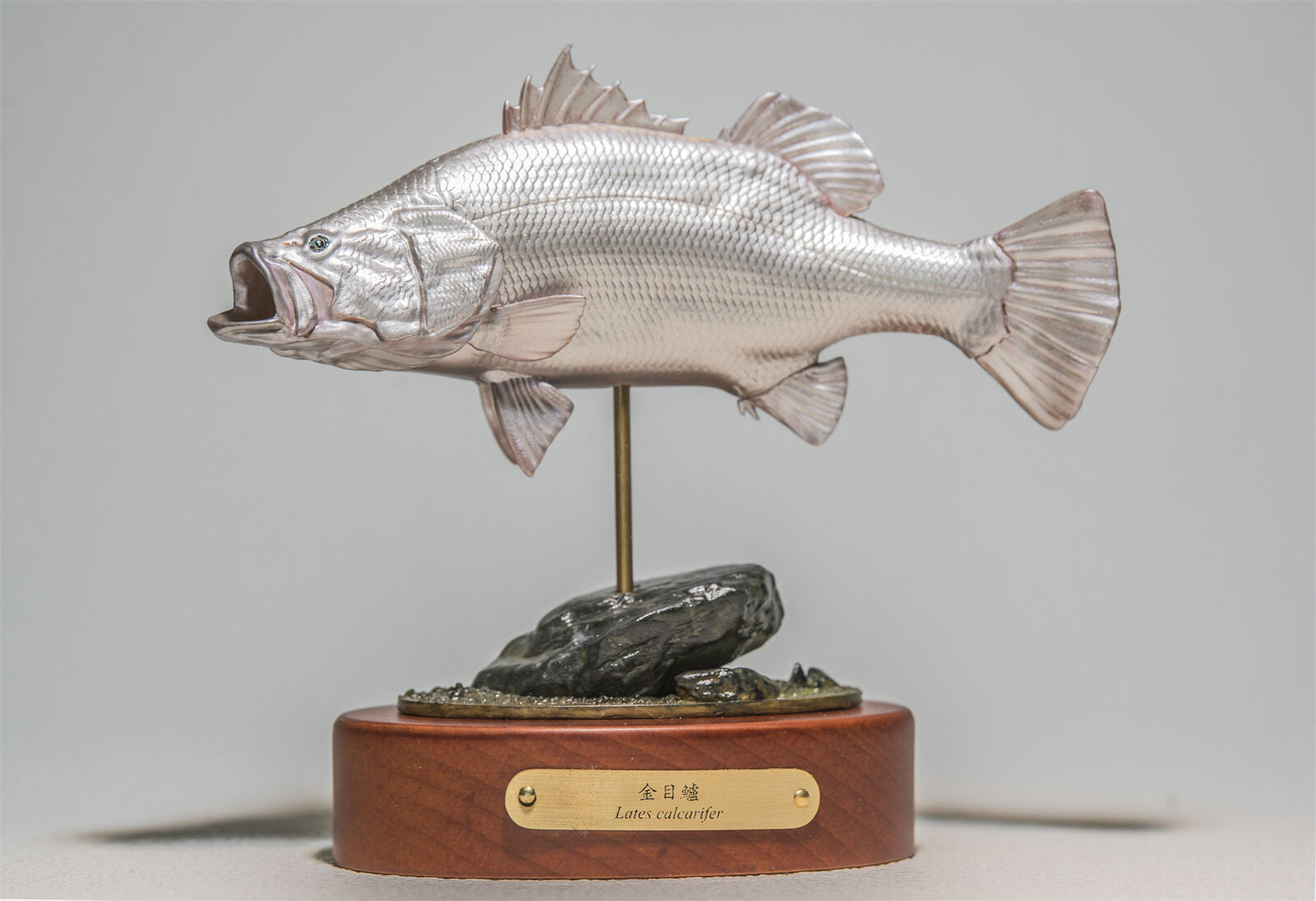 ZENITH STAR Studio 1:6 MONSTER AQUARIUM Barramundi Model