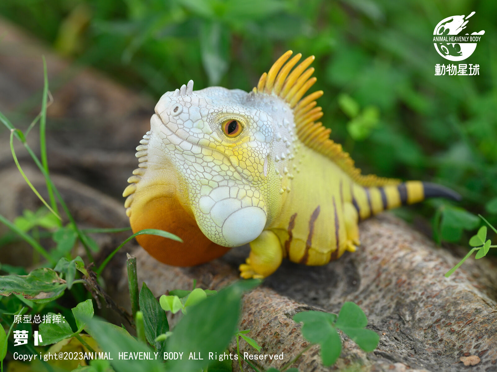 Animal Planet 16 Lizard Blind Box Model