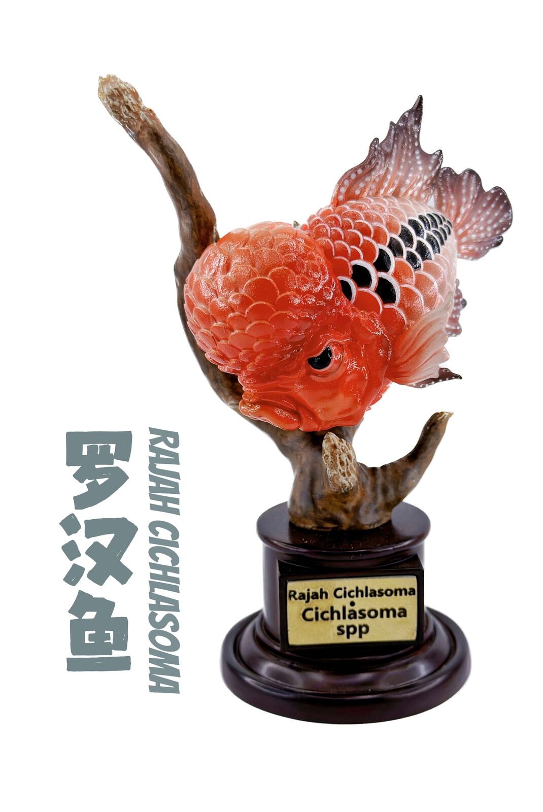 Things In The Pond Fish Blind Box Model