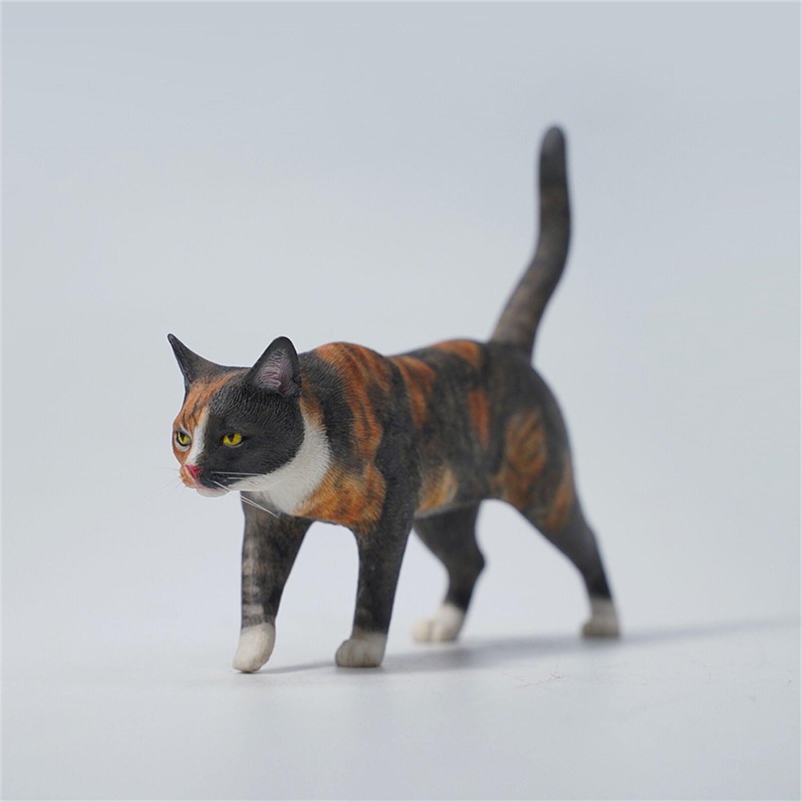 JXK 1/6 Felis catus Model