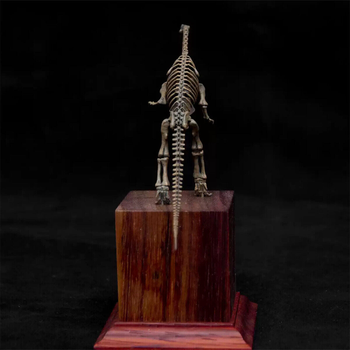 1/35 Lufengosaurus Skeleton Model