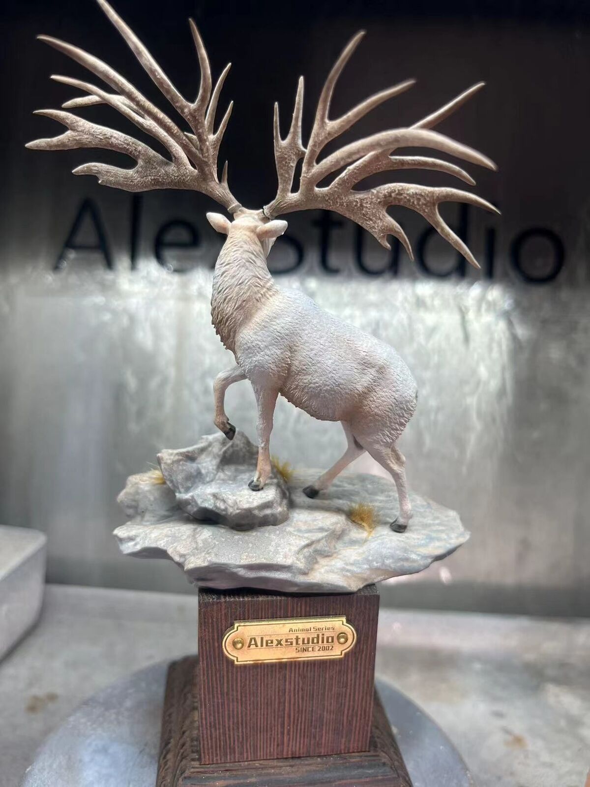 Alex Studio Eucladoceros Model