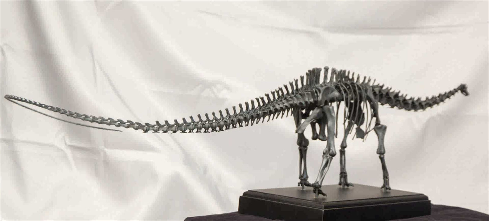 VWUVWU 1/20 Diplodocus Skeleton Model