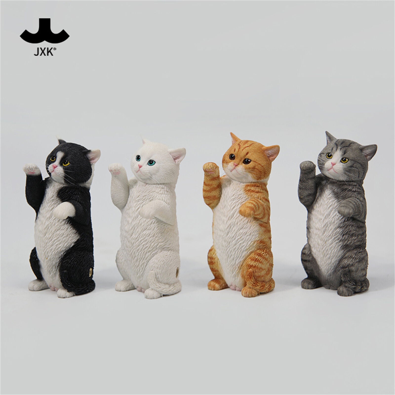JXK 1/6 Scottish Fold Cat 3.0 Model