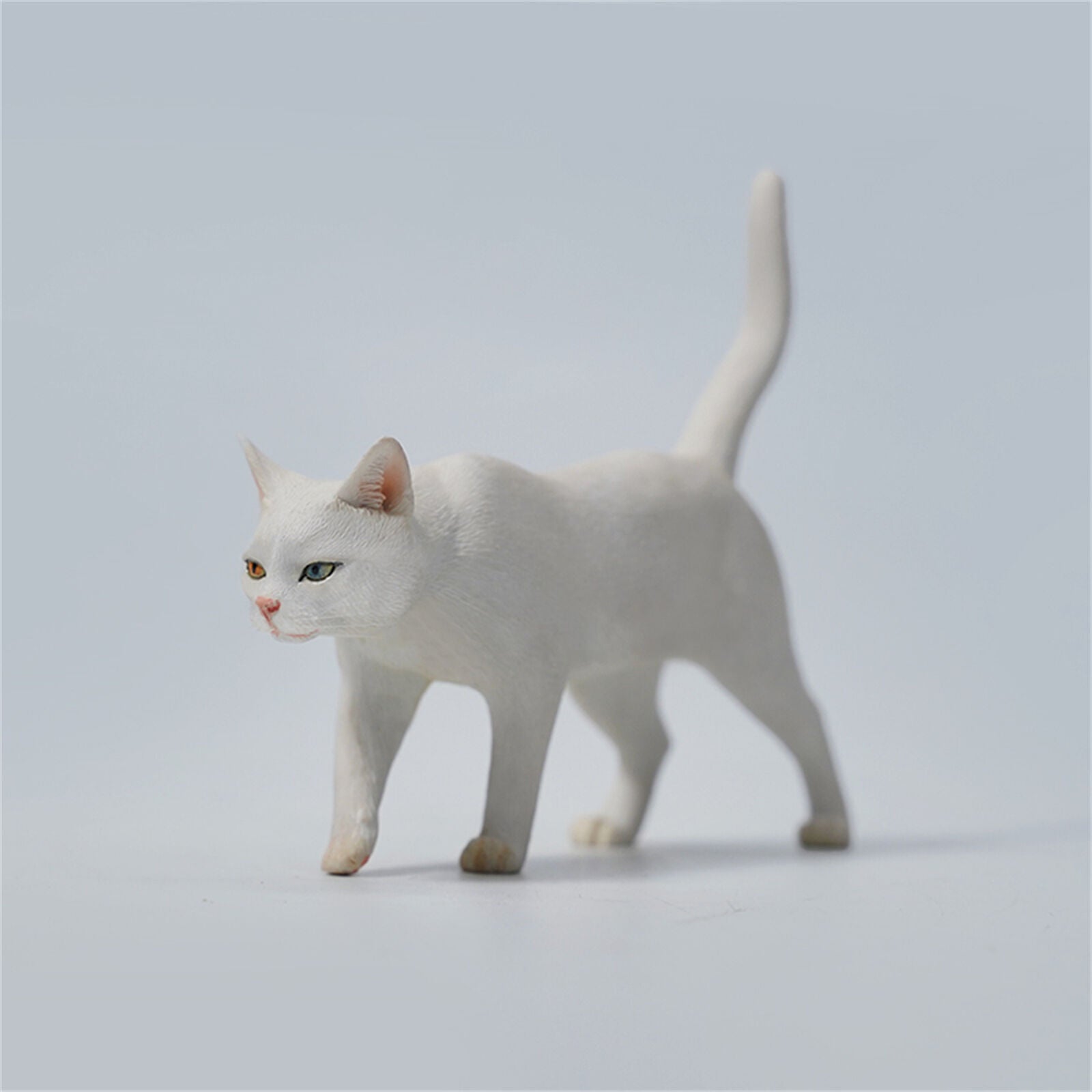 JXK 1/6 Felis catus Model