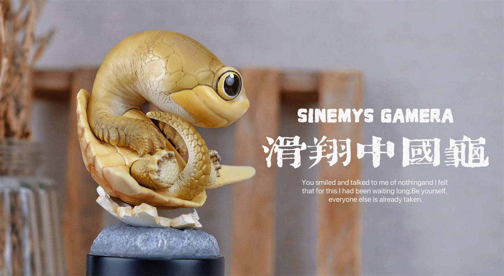 BOWUZHI Studio Sinemys gamera Meiolania Model