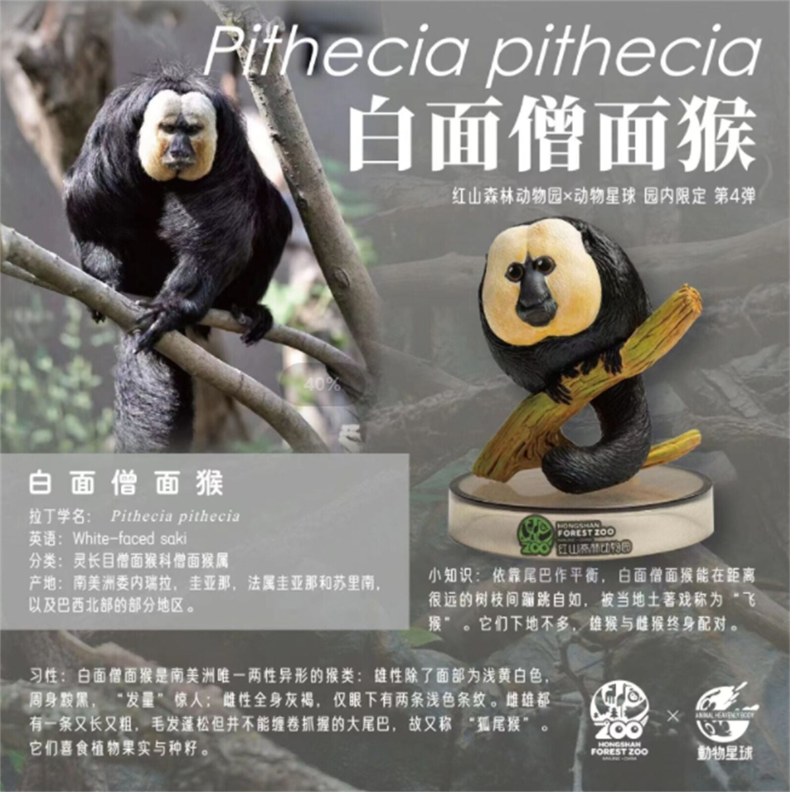 Hongshan Forest Zoo NO.4 Blind Box Model