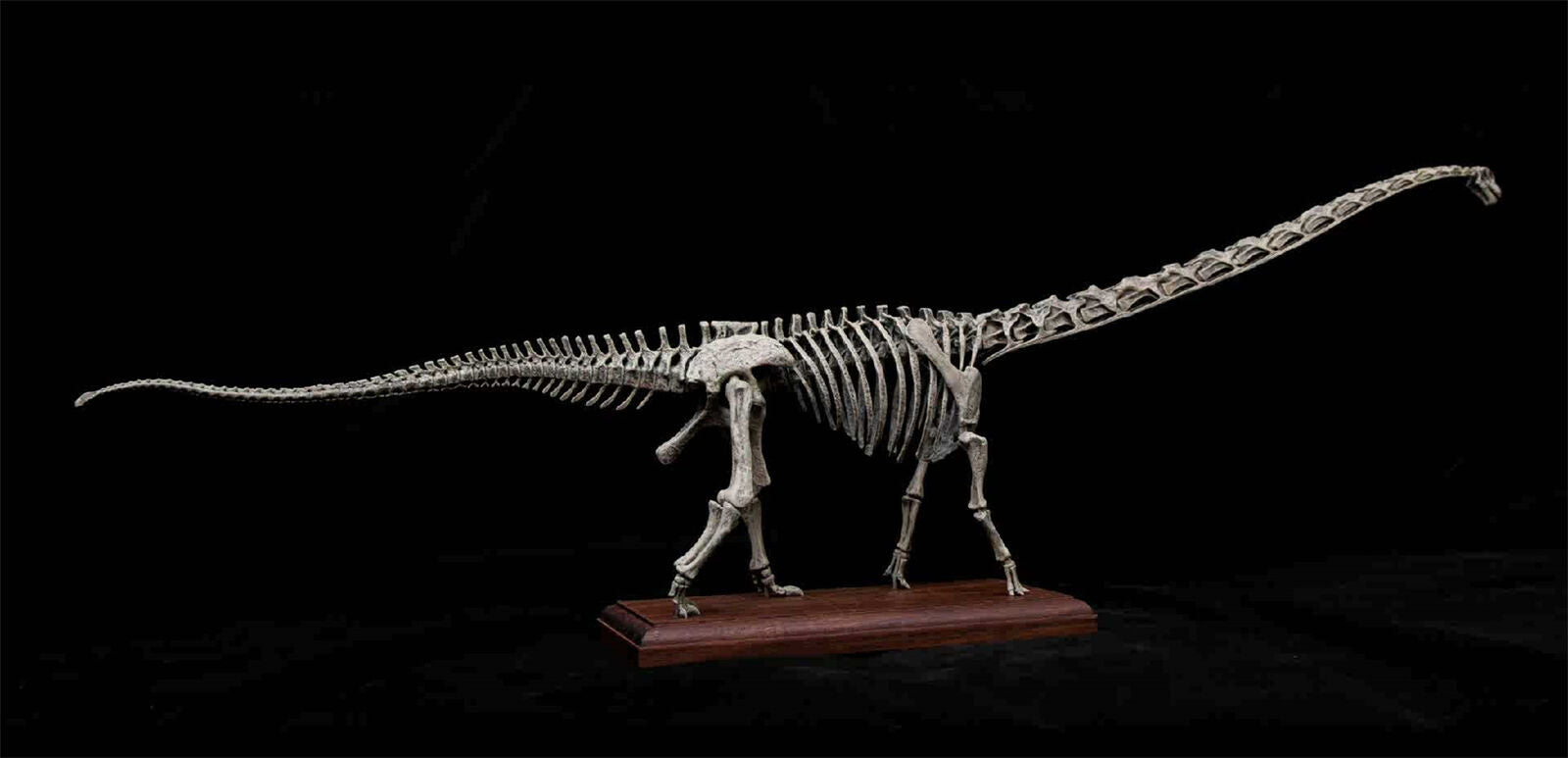 VWUVWU 1/20 Mamenchisaurus Youngi Skeleton Model