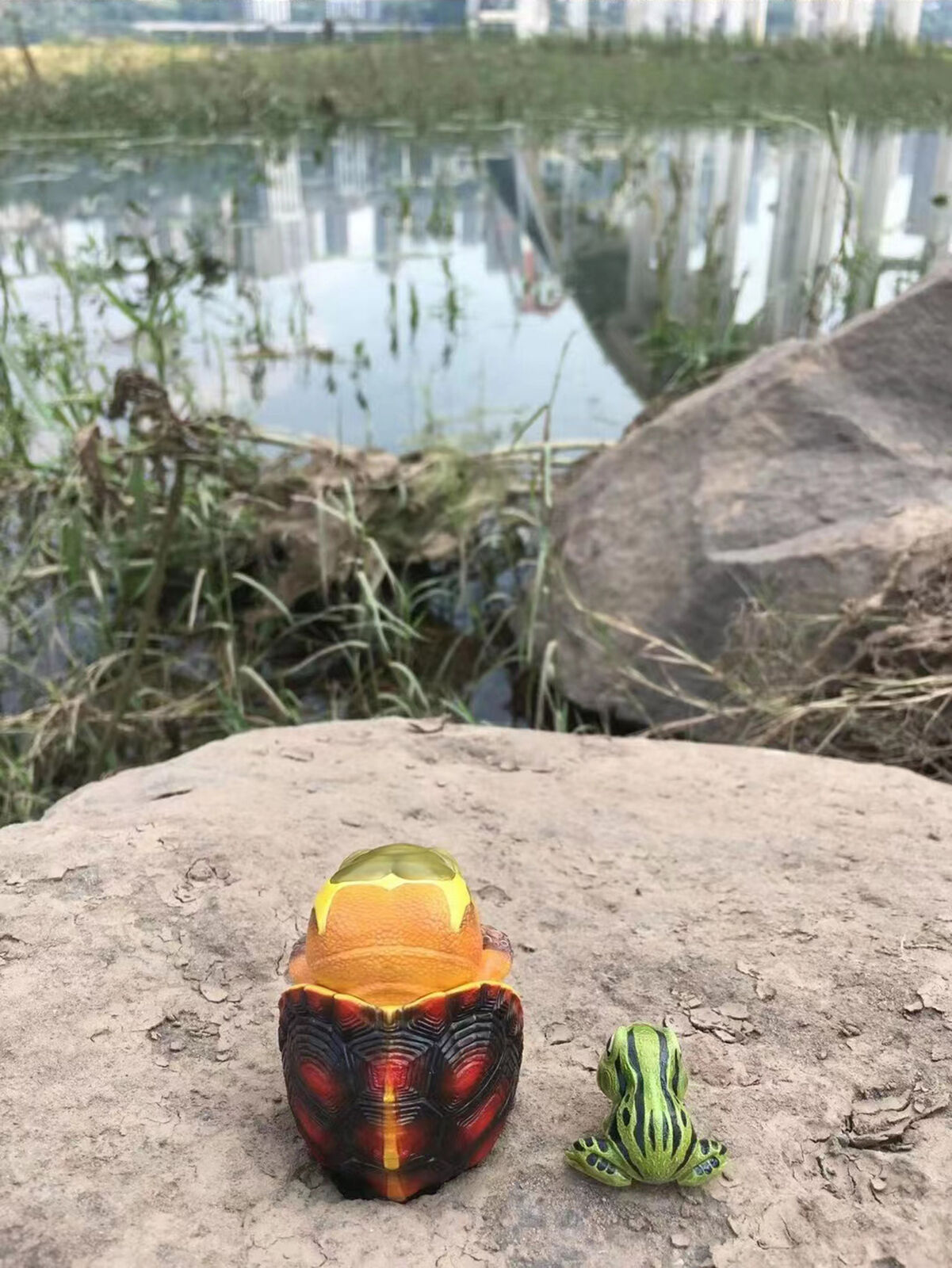 Yellow-margined Box Turtle Model