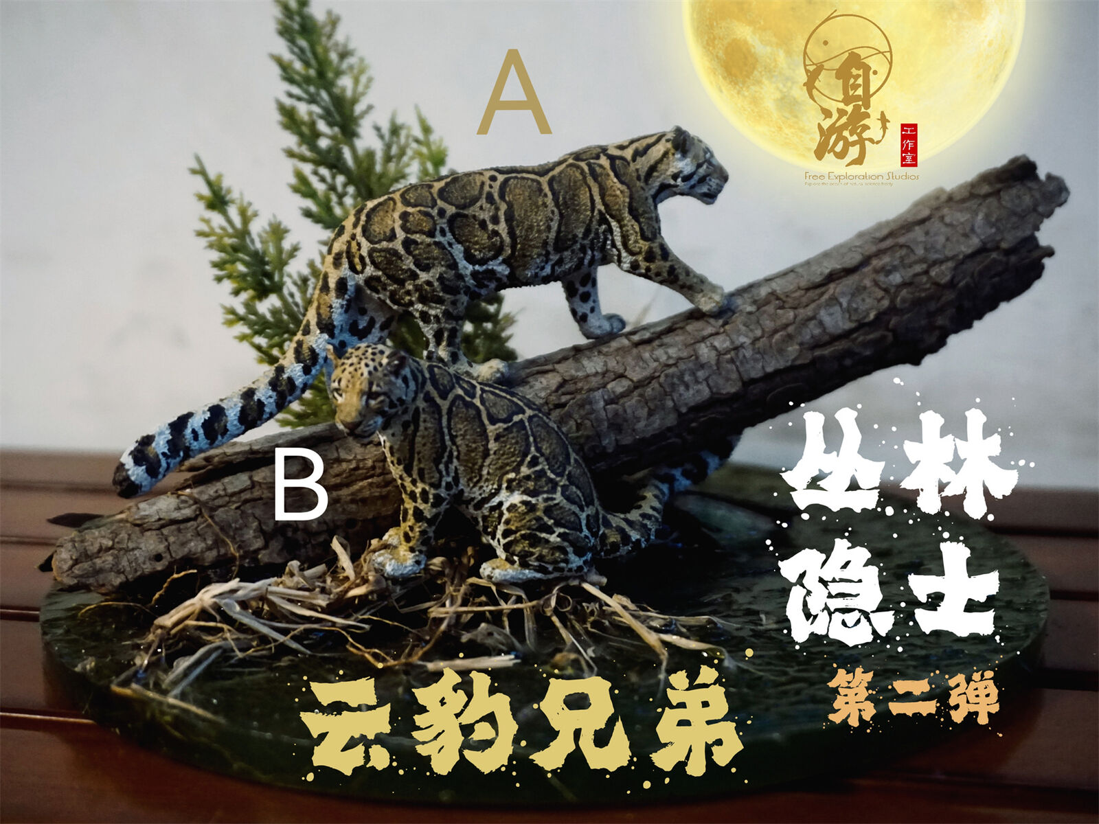 Free Exploration Clouded Leopard Model