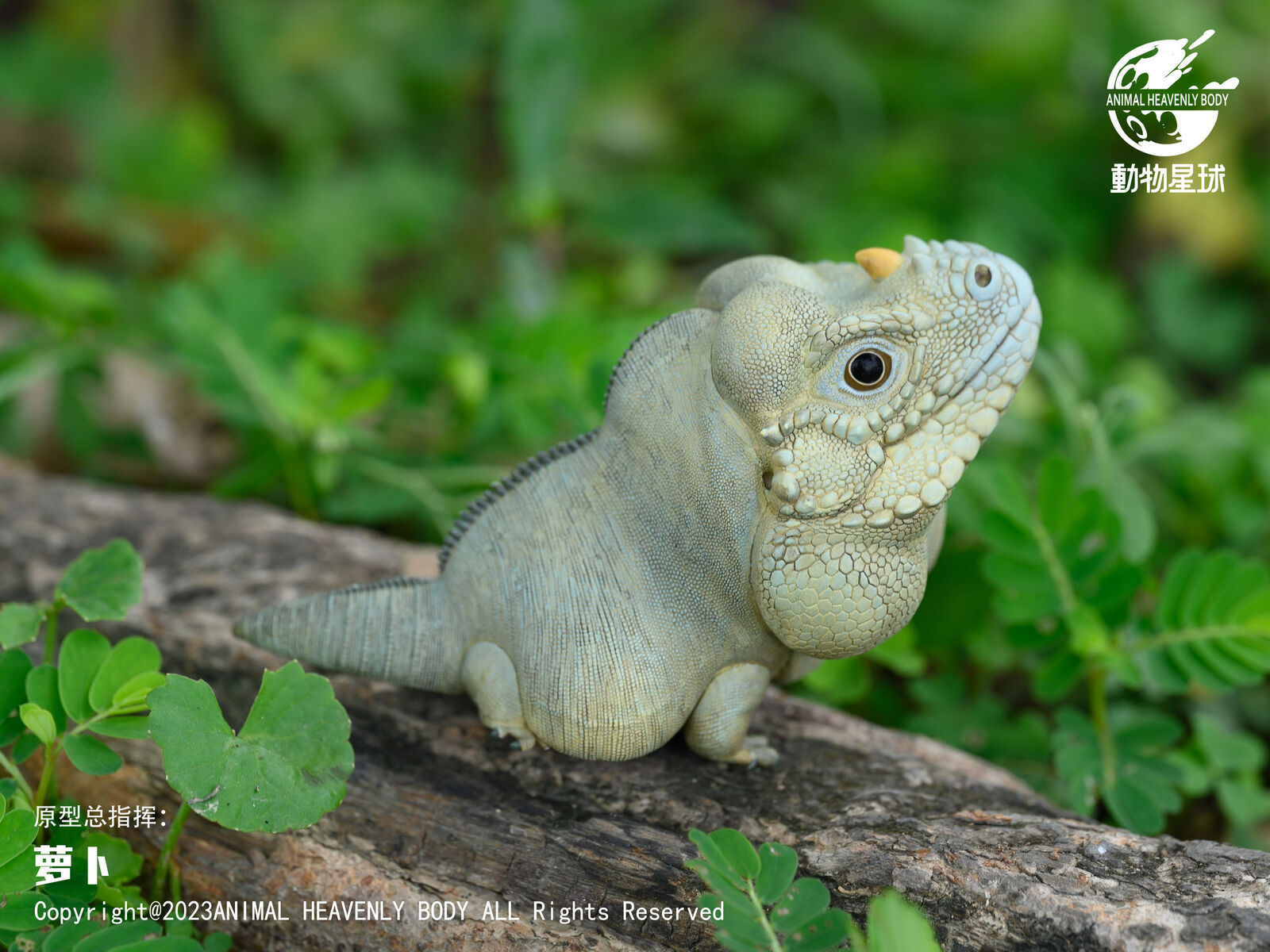 Animal Planet 16 Lizard Blind Box Model