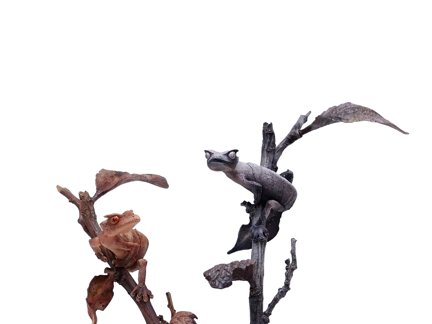 1:1 Uroplatus Phantasticus Model