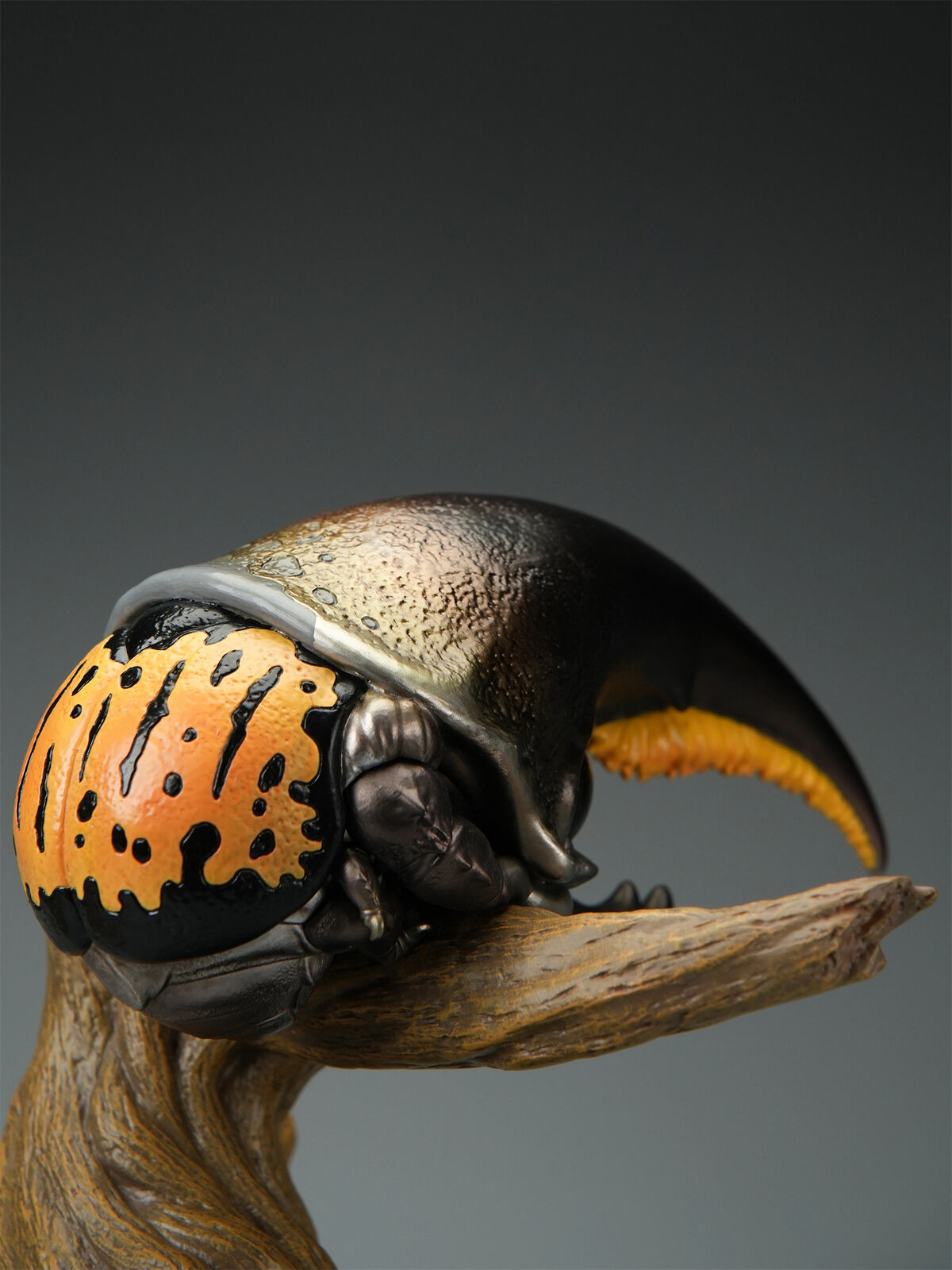 Dynastes Hercules Plus Model