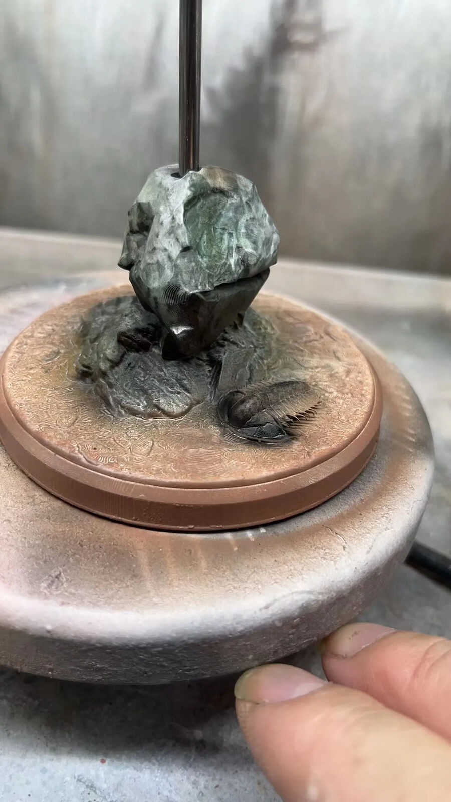 Alex Studio Anomalocaris Canadensis Model