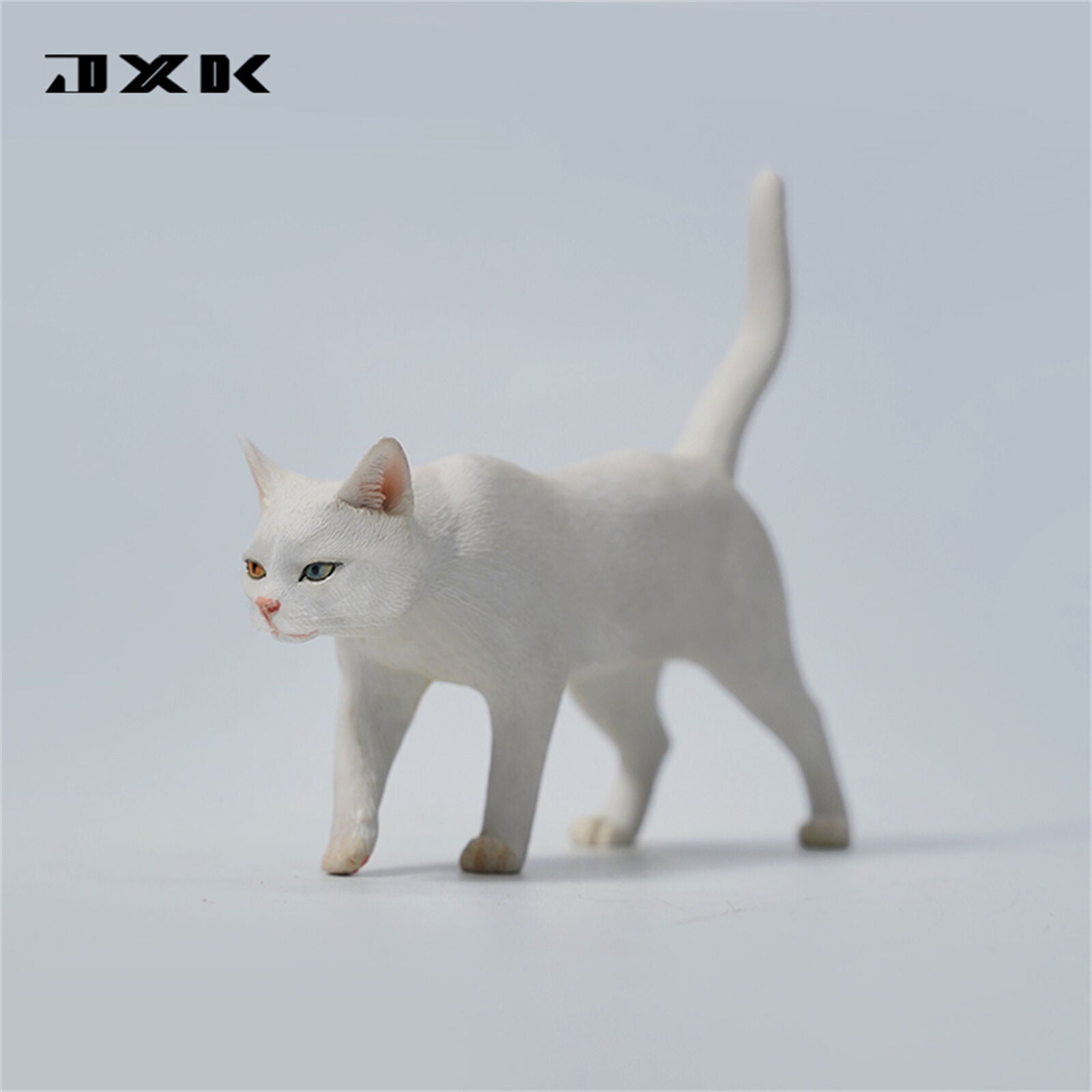 JXK 1/6 Felis catus Model