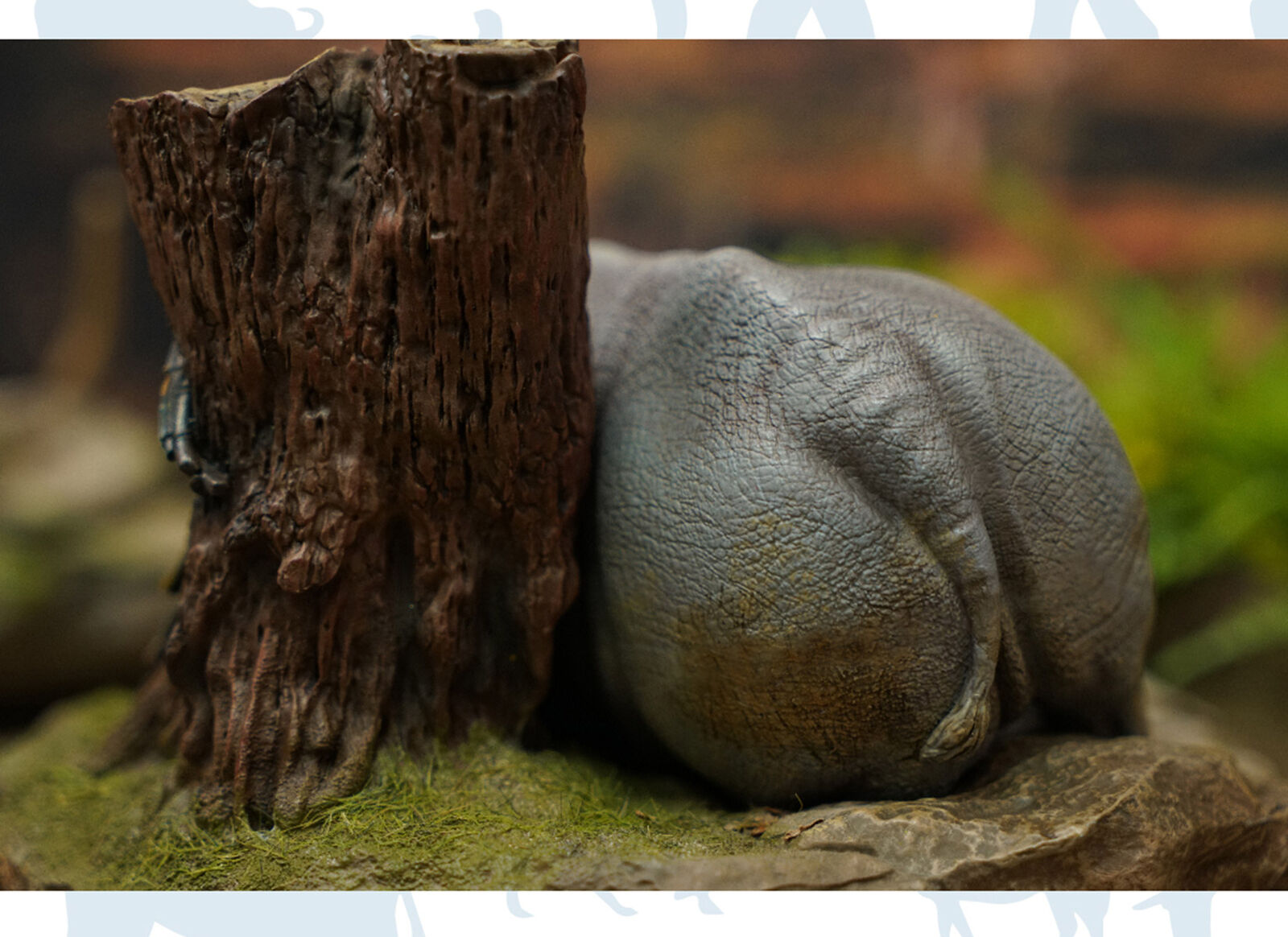 Animal Protection Act Studio Rhinoceros Horn Model