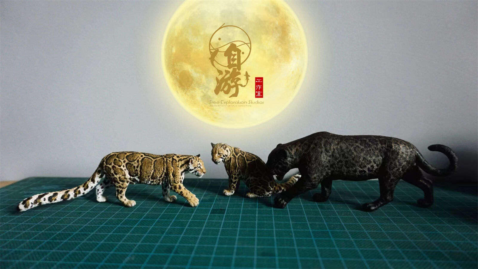 Free Exploration Clouded Leopard Model