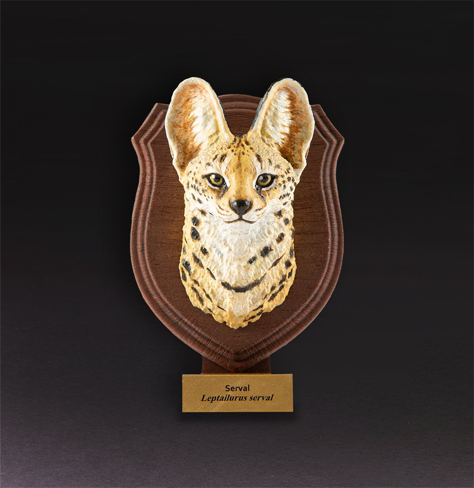 Animal Planet World Encyclopedia Of Animals