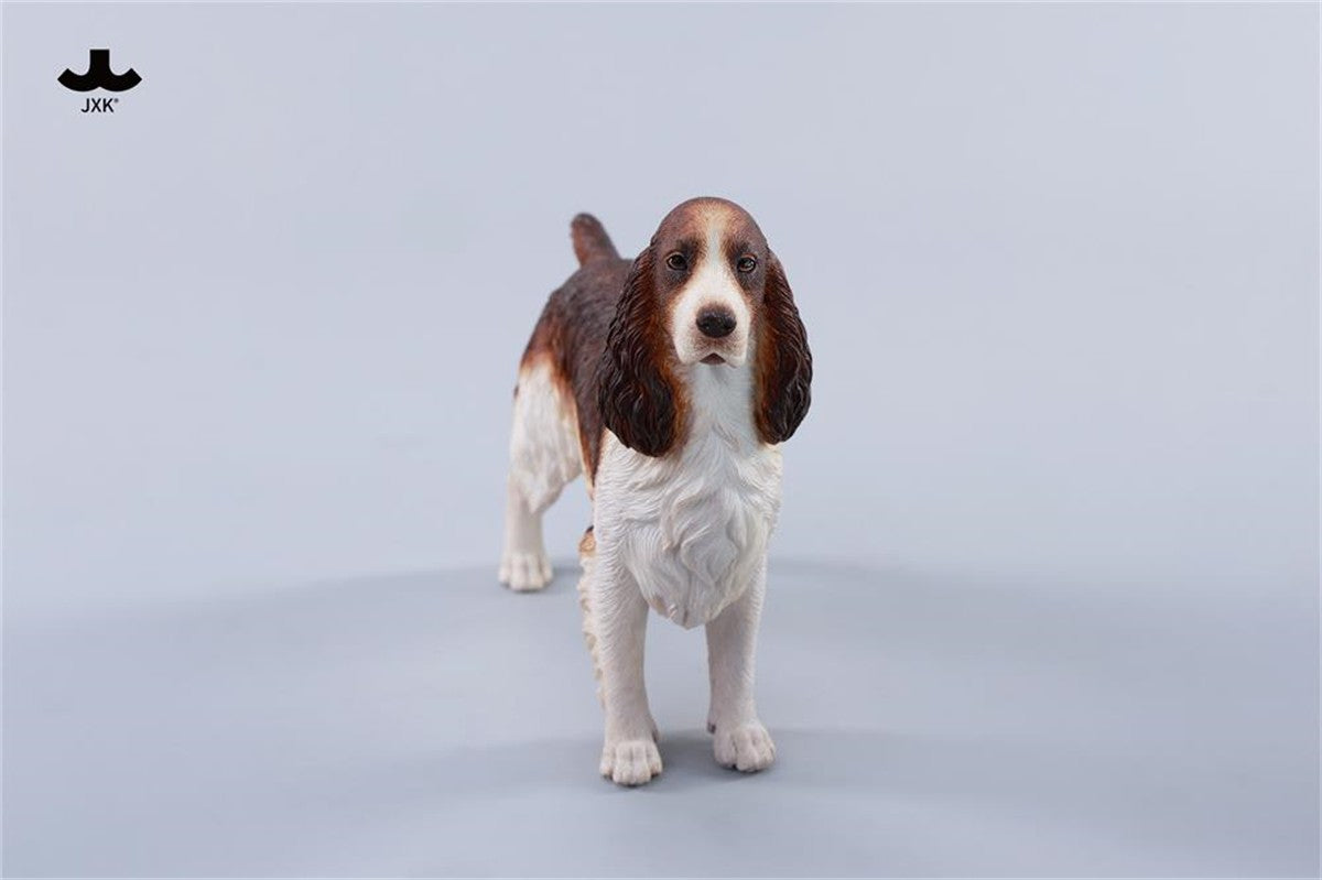 JXK 1/6 Cocker Spaniel Figure