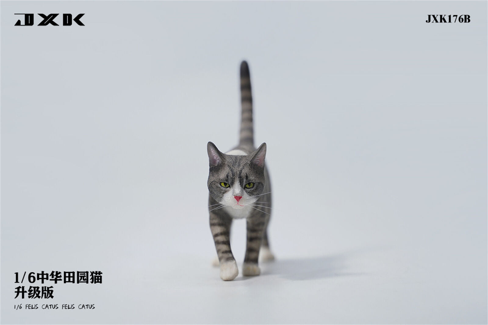 JXK 1/6 Felis catus Model