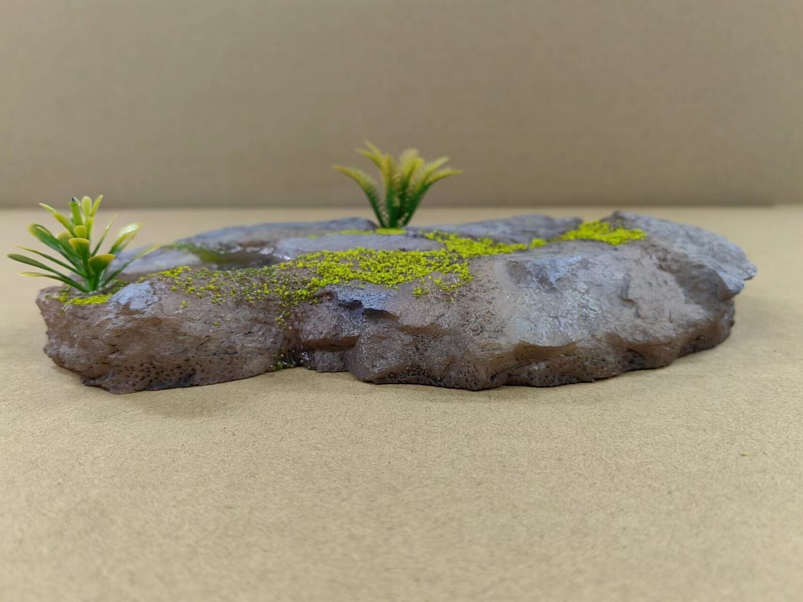 HAOLONGGOOD 1:20 Scale Pachyrhinosaurus Model