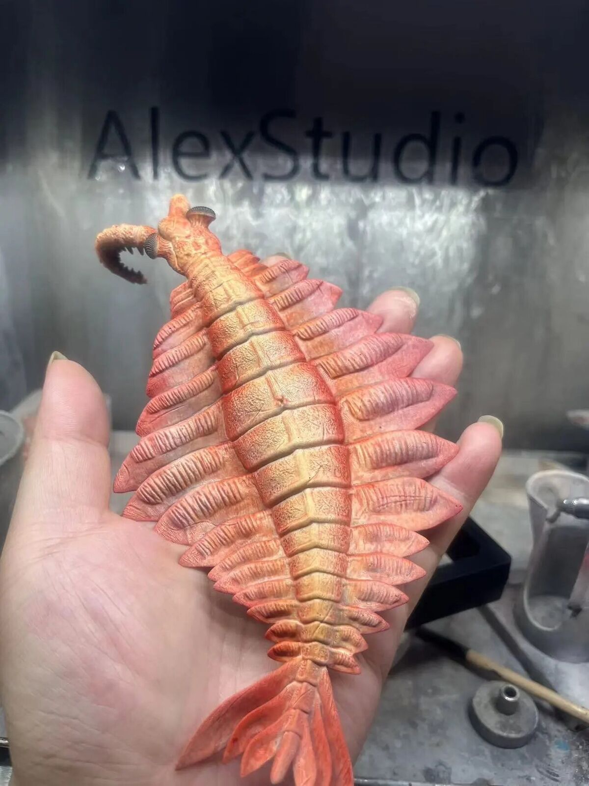 Alex Studio Anomalocaris Canadensis Model