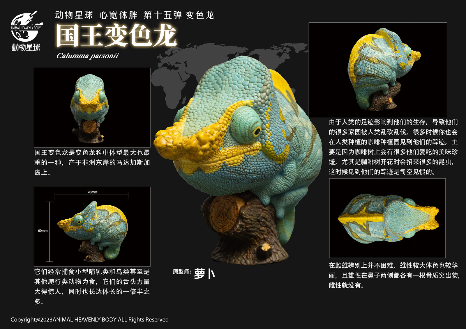Animal Planet 15 Chamaeleonidae Blind Box Model