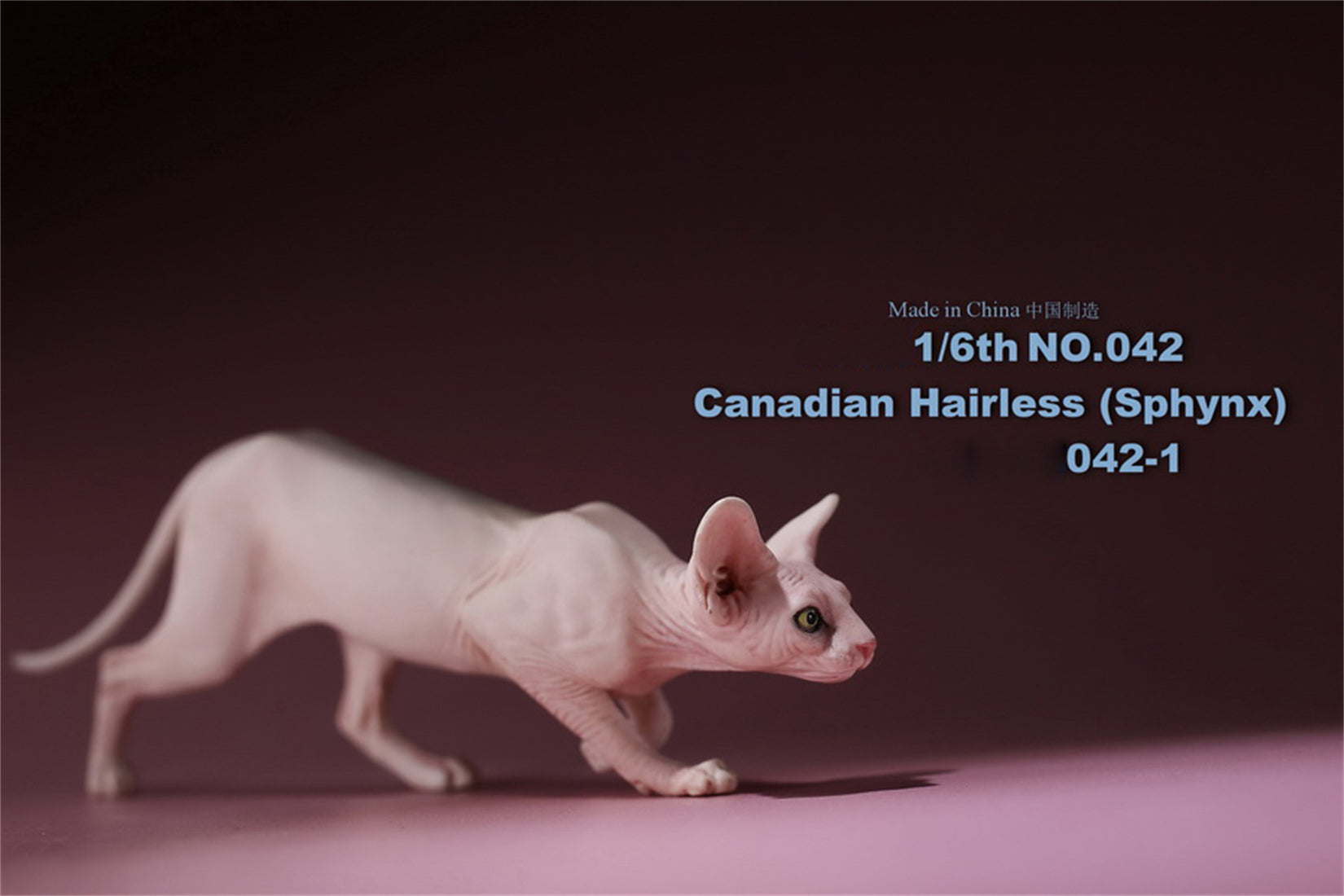 1/6 Canadian Hairless Figure