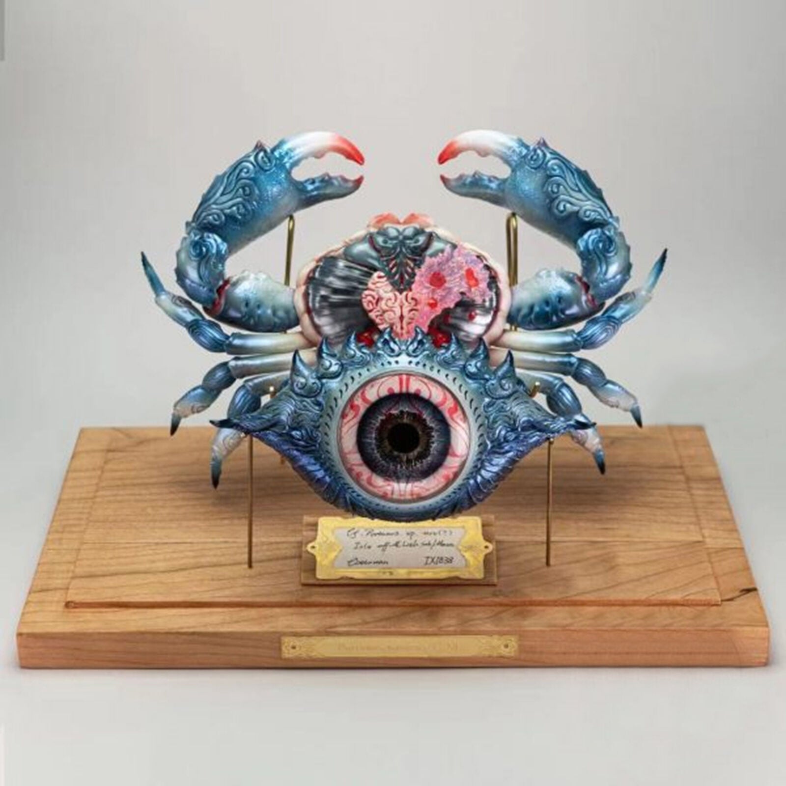 Sir Mysti’s Secret Cabinet Wicked Eye Crab Model