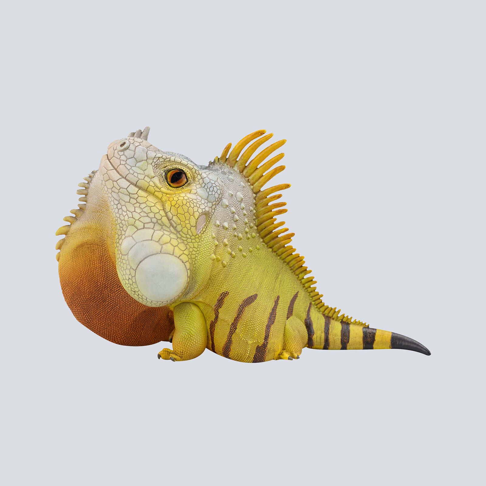 Animal Planet 16 Lizard Blind Box Model